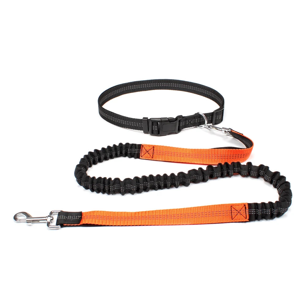 ROVÉ Hands-Free Leash