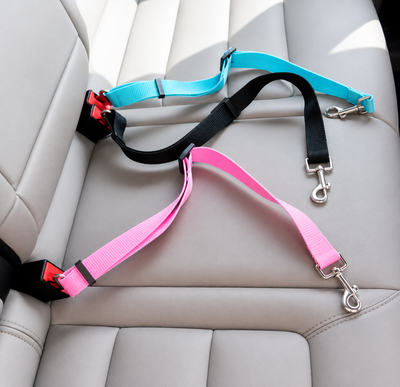 ROVÉ Travel Safety Leash
