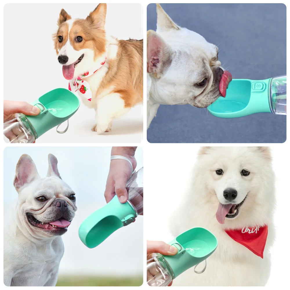 ROVÉ Everyday Water Bottle