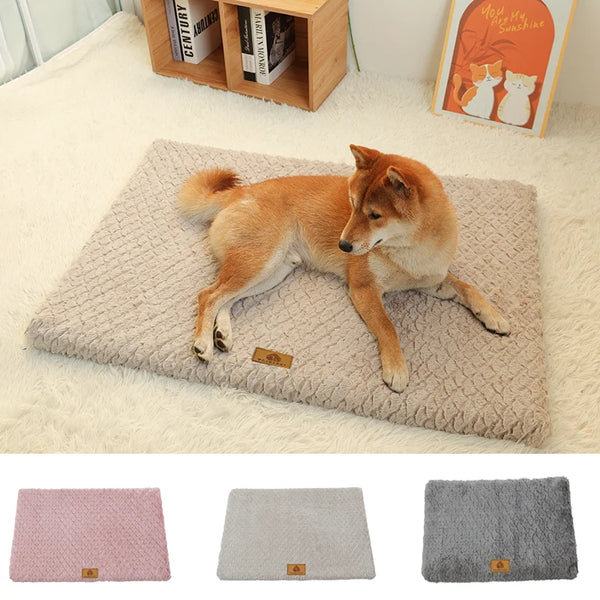 ROVÉ Orthopedic Bed for dogs