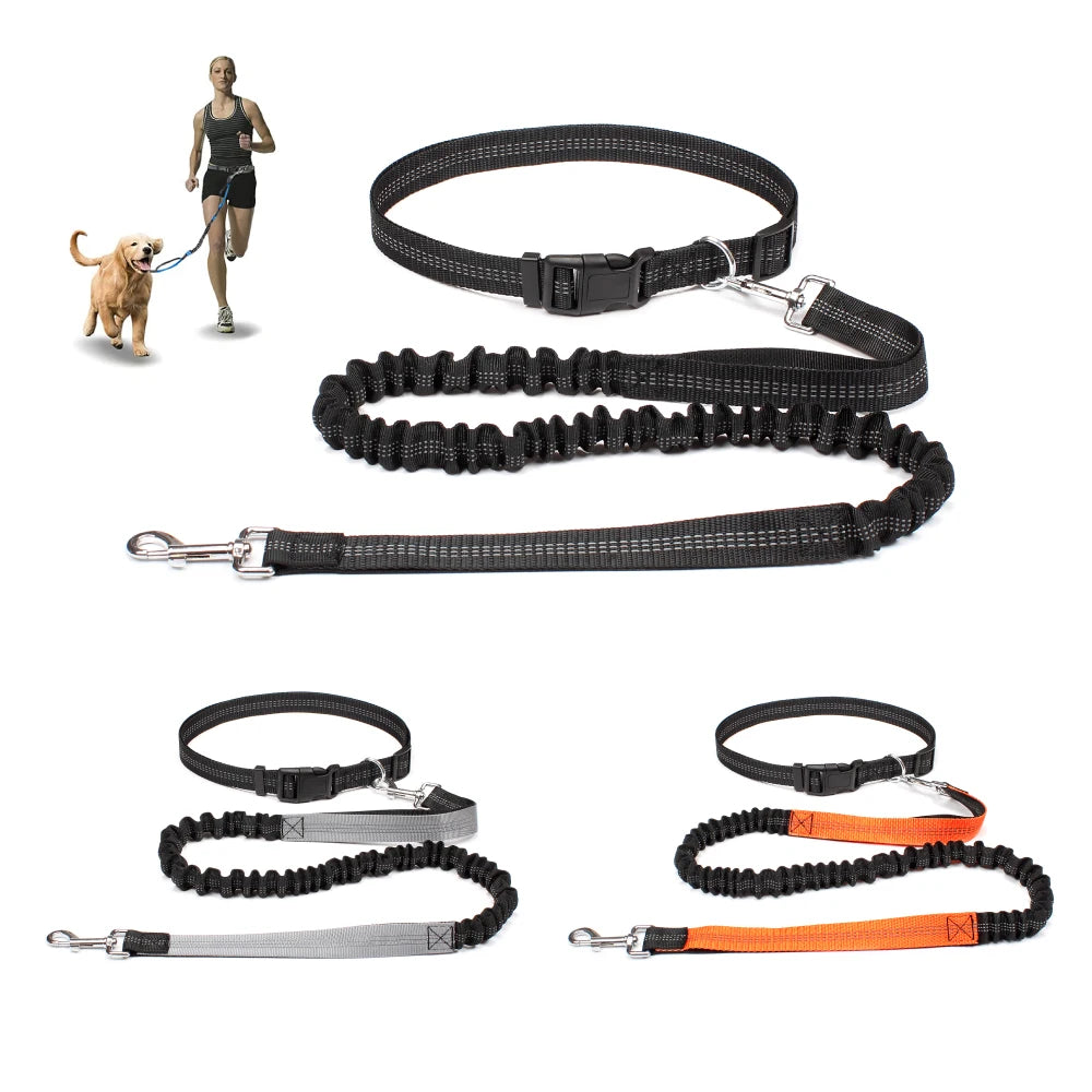 ROVÉ Hands-Free Leash waist belt