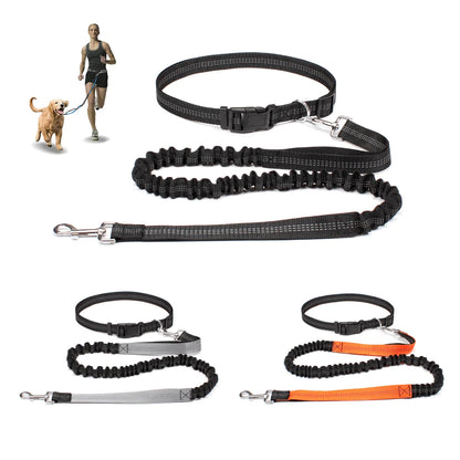 ROVÉ Hands-Free Leash waist belt