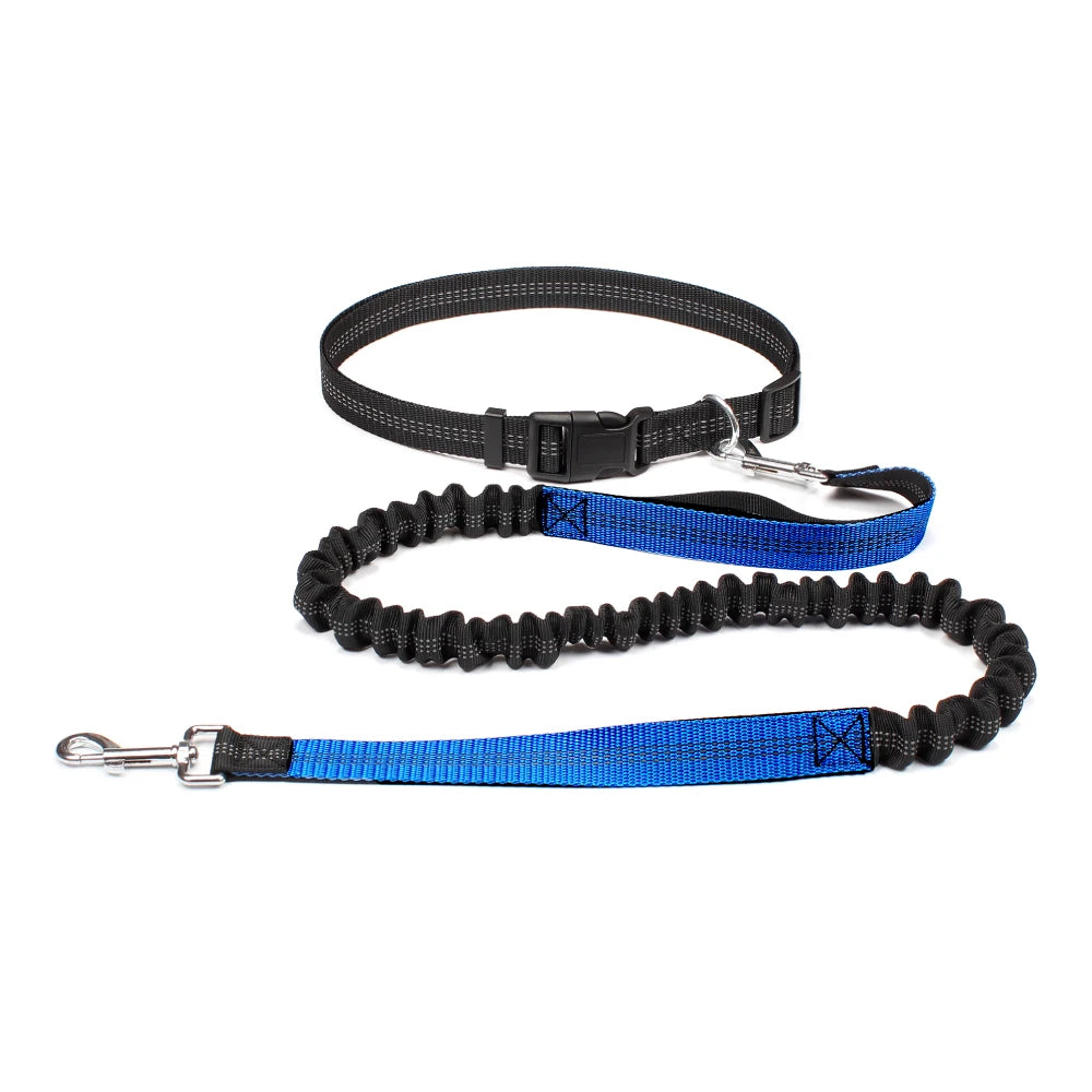ROVÉ Hands-Free Leash