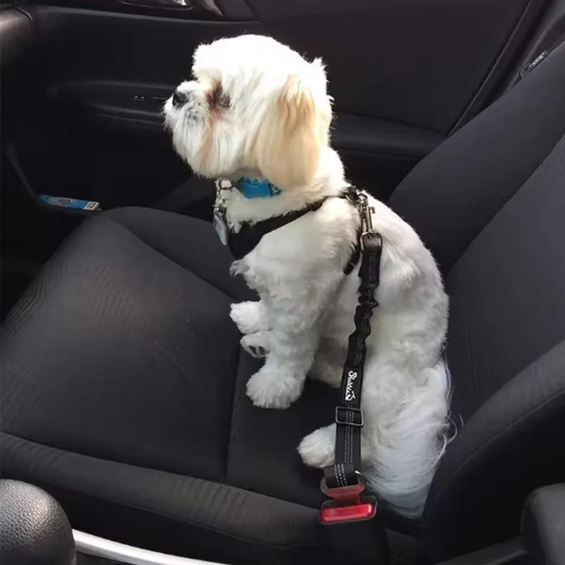 ROVÉ Seat Belt