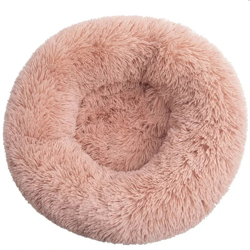 ROVÉ Cloud Comfort Bed