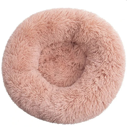 ROVÉ Cloud Comfort Bed