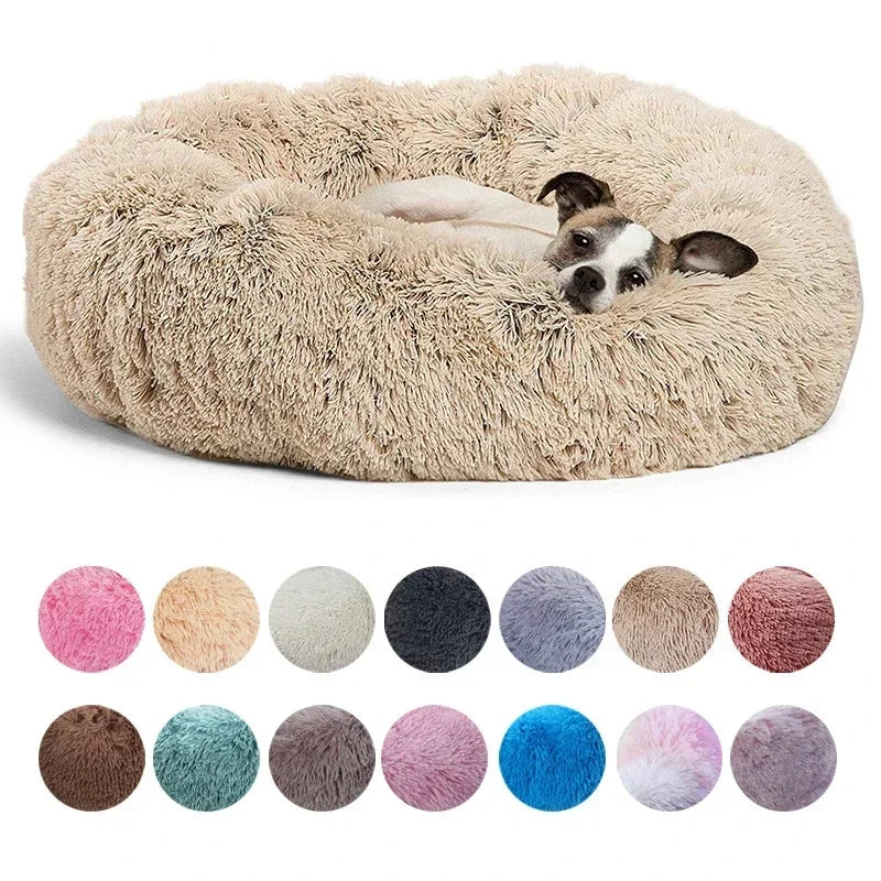 ROVÉ Cloud Comfort Bed