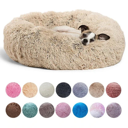 ROVÉ Cloud Comfort Bed