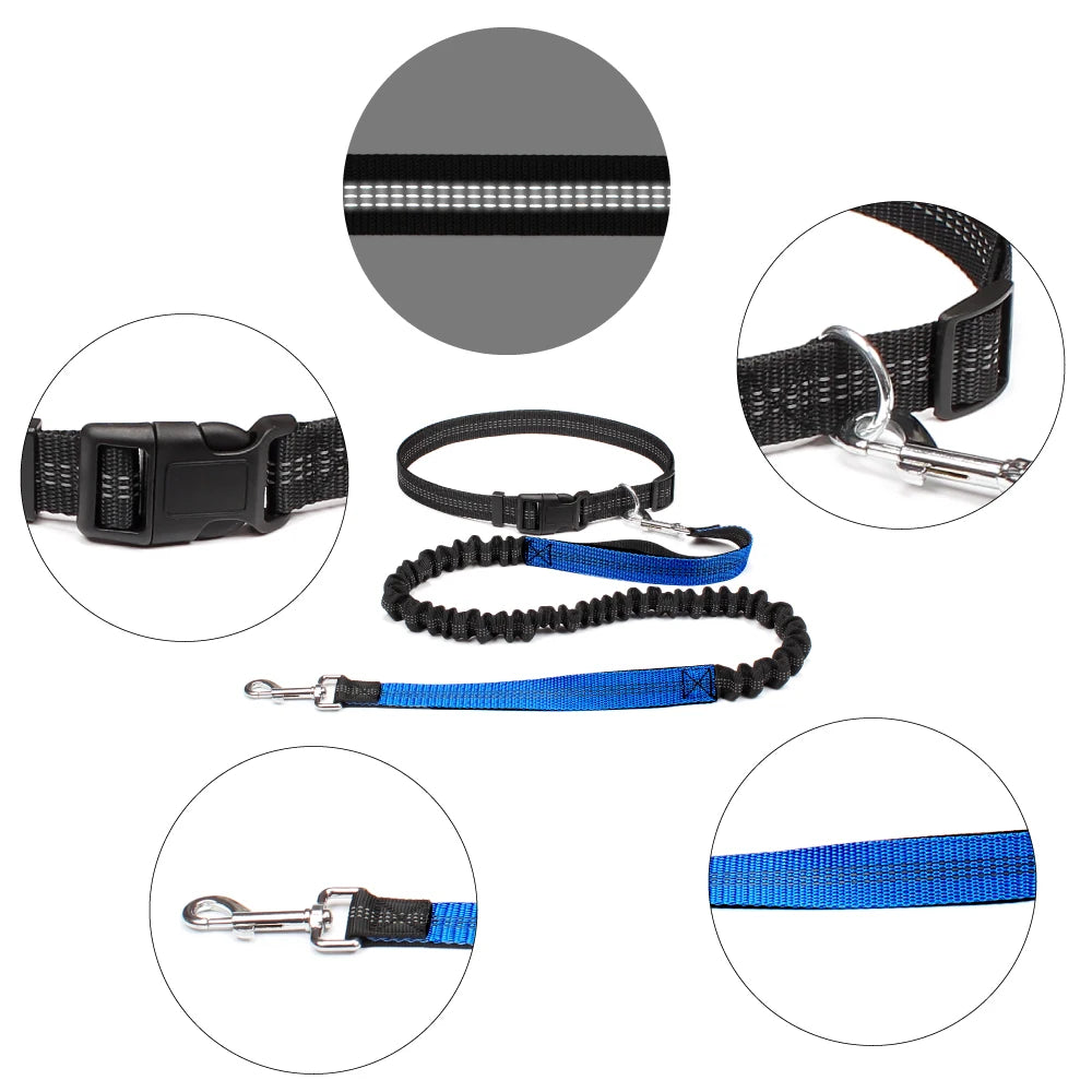ROVÉ Hands-Free Leash