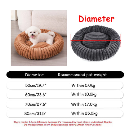 ROVÉ Cloud Comfort Bed