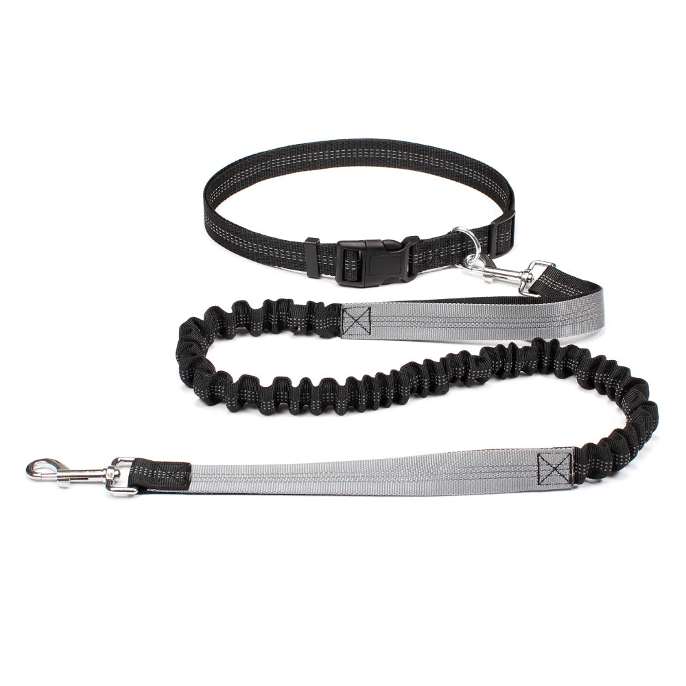 ROVÉ Hands-Free Leash