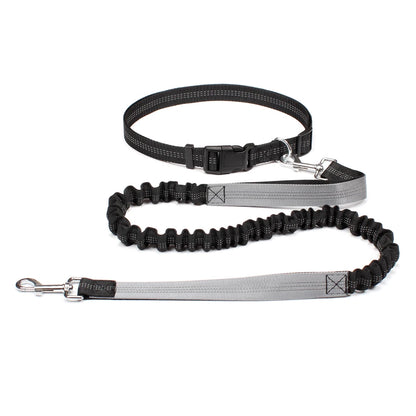ROVÉ Hands-Free Leash