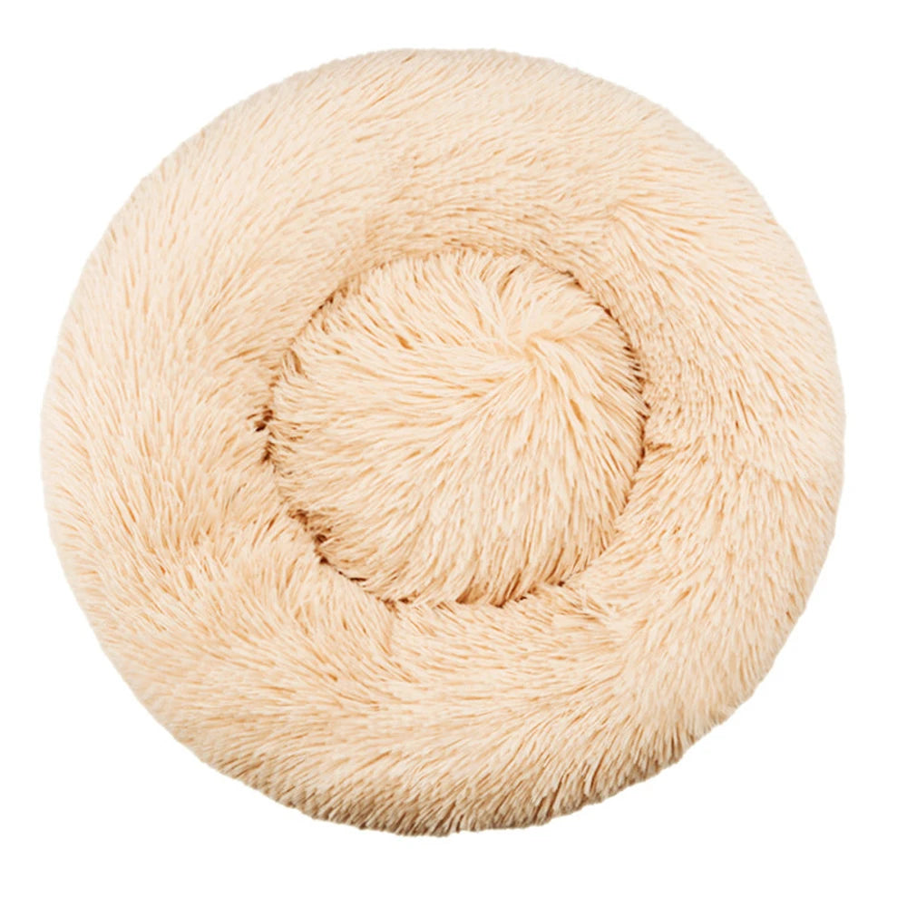 ROVÉ Cloud Comfort Bed
