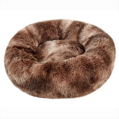 ROVÉ Cloud Comfort Bed