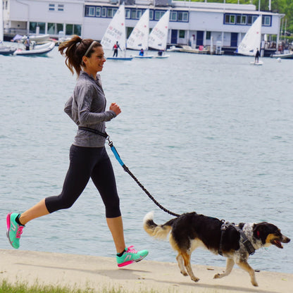 ROVÉ Hands-Free Leash