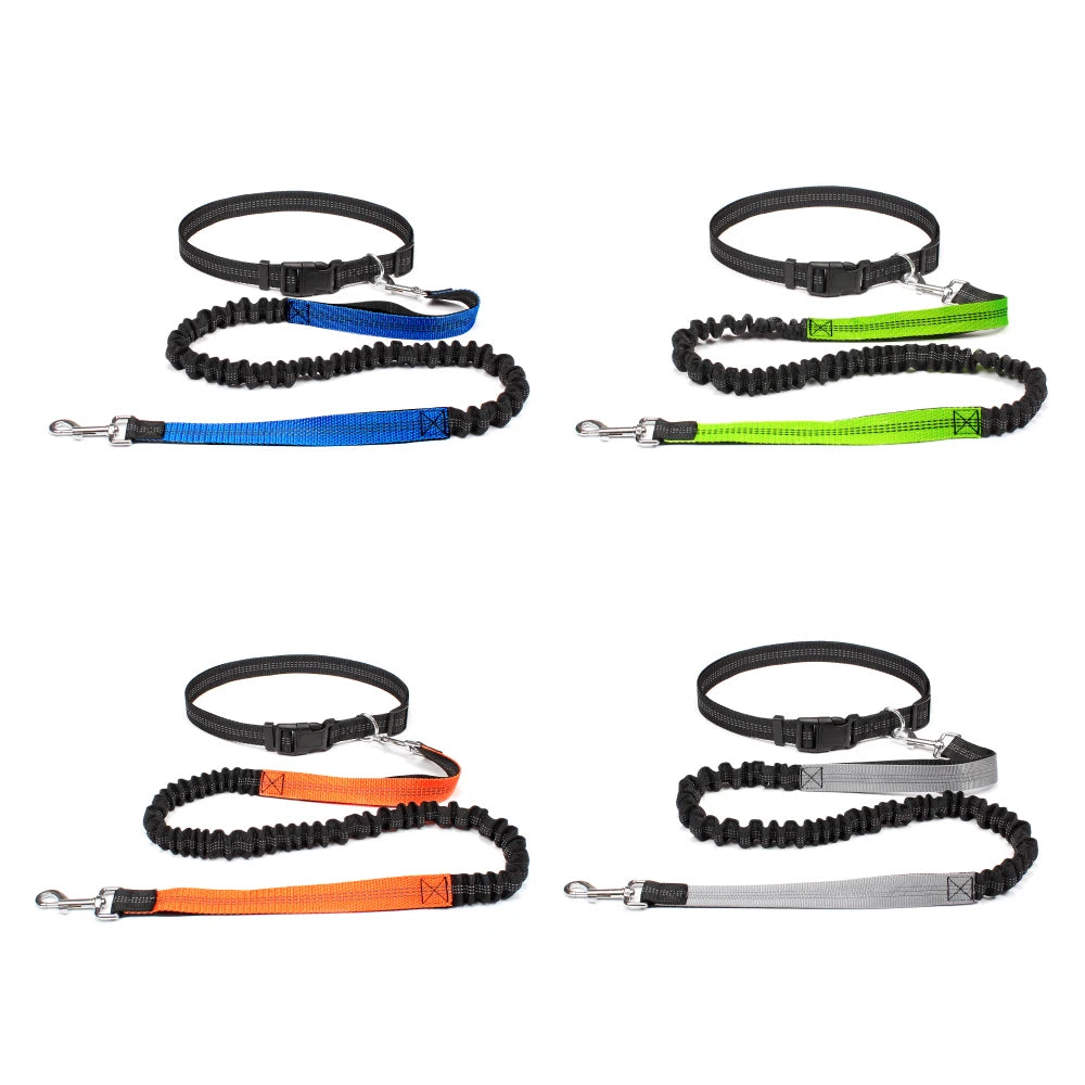 ROVÉ Hands-Free Leash