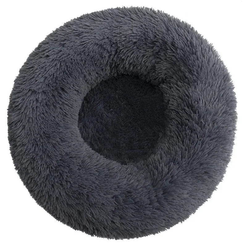 ROVÉ Cloud Comfort Bed