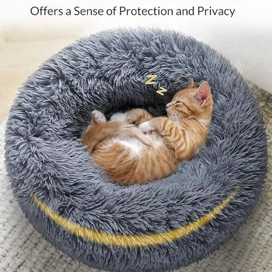 ROVÉ Cloud Comfort Bed